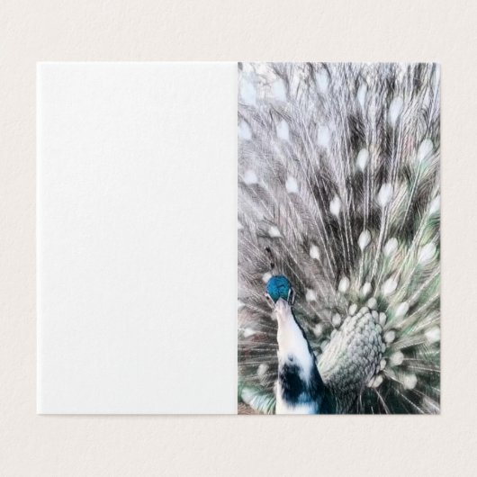 Prachtige Pied Peacock - blanco cadeau label set Kaart (Buitenkant ongevouwen)