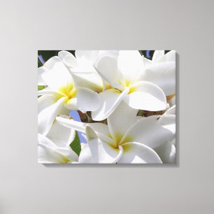 Prachtige Plumeria gewikkeld canvas Afdruk