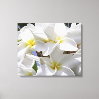 Prachtige Plumeria gewikkeld canvas Afdruk