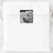 Prachtige Poolse Tatra Sheepdog Sticker (Tas)