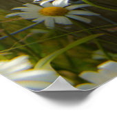 Prachtige Poster/afdrukken op grote dagen Poster (Hoek)