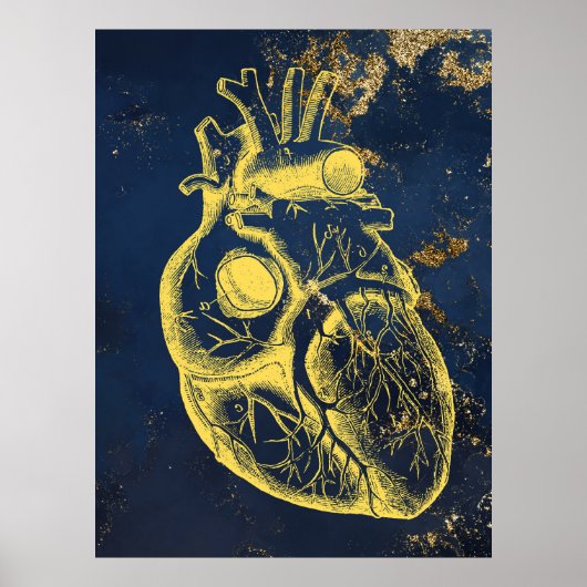 Prachtige poster voor hartanatomie (Voorkant)