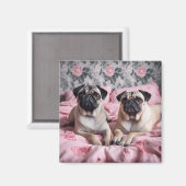 Prachtige Pug Honden op Roze Deken Magneet (Voorkant / Achterkant)
