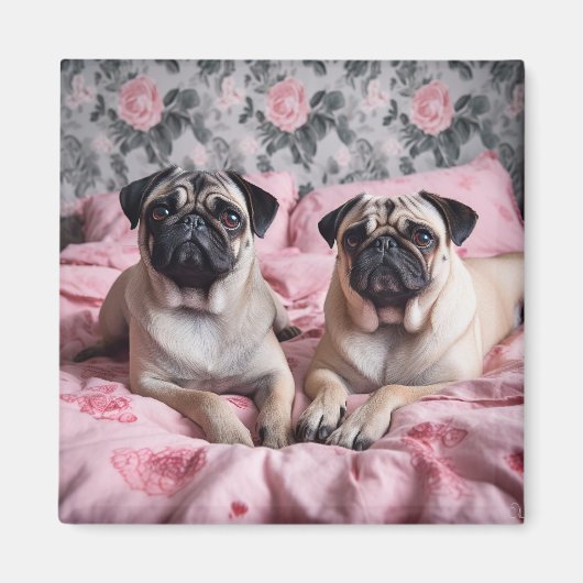 Prachtige Pug Honden op Roze Deken Magneet (Voorkant)