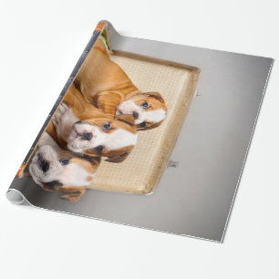 Prachtige Puppies van Bulldog   HONDENLIEFHEBBER Cadeaupapier