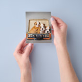 Prachtige Puppies van Bulldog | HONDENLIEFHEBBER Flyer (Hand)