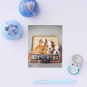 Prachtige Puppies van Bulldog | HONDENLIEFHEBBER Flyer (Enkel)