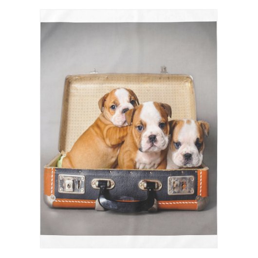Prachtige Puppies van Bulldog | HONDENLIEFHEBBER Tafelkleed (Voorkant)