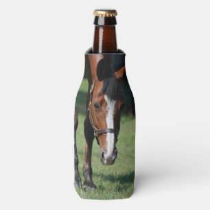 Prachtige Quarter Horse Flesjeskoeler