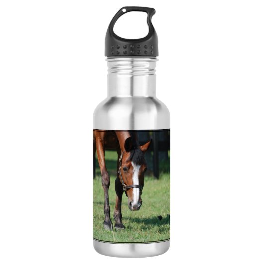 Prachtige Quarter Horse Waterfles (Voorkant)