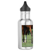 Prachtige Quarter Horse Waterfles (Links)