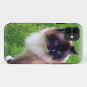 Prachtige ragdoll-kat Case-Mate iPhone case (Achterkant (horizontaal))