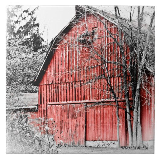 Prachtige Red Barn Tegeltje (Voorkant)