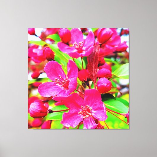 Prachtige Red Barron Crabapple Foto Canvas Afdruk (Voorkant)