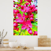 Prachtige Red Barron Crabapple Foto Poster (Keuken)