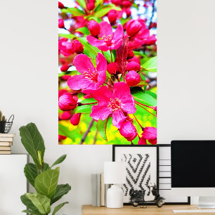 Prachtige Red Barron Crabapple Foto Poster
