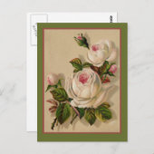 Prachtige Redoute White Roses Briefkaart (Voorkant / Achterkant)