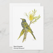 Prachtige regenachtige honingeter vogel kaart (Voorkant / Achterkant)