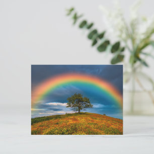 Prachtige regenboog boven weide met wilde bloemen briefkaart
