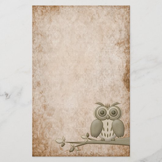Prachtige  Retro Owl Stationery Briefpapier (Voorkant)