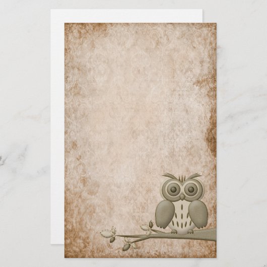 Prachtige Retro Owl Stationery Briefpapier (Voorkant / Achterkant)
