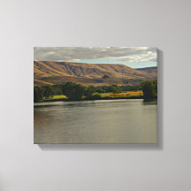 Prachtige rivier Stromen in de woestijn met landbo