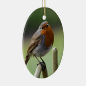 Prachtige Robin Keramisch Ornament (Rechts)