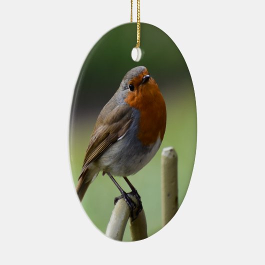 Prachtige Robin Keramisch Ornament (Rechts)