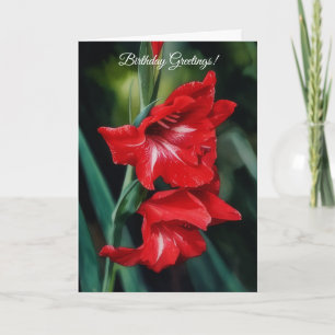 Prachtige Rode Bloemen Tuin Kunst Verjaardag Kaart