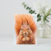 Prachtige rode eekhoorn briefkaart (Staand voorkant)