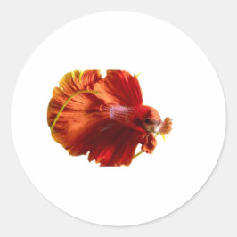 Prachtige Rode Halfmaan Betta Vis Sticker - Siamee