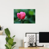 Prachtige rode / roze roos poster (Thuiskantoor)