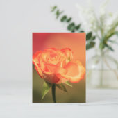 Prachtige Romantische foto van Roos Briefkaart (Staand voorkant)