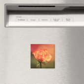 Prachtige Romantische foto van Roos Magneet (Insitu (Vaatwasser))