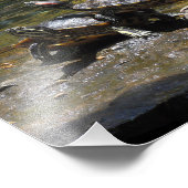 Prachtige roodoordige sliders foto afdruk (Hoek)