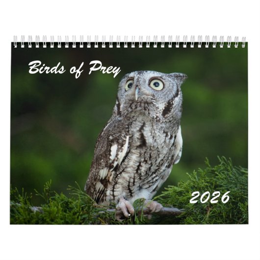 Prachtige roofvogels 2026 foto kalender (Hoes)