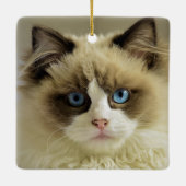 Prachtige rookkast met blauwe ogen keramisch ornament (Achterkant)