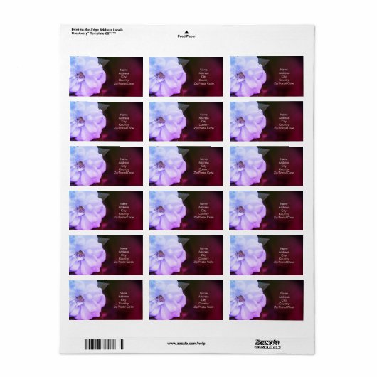 Prachtige Roos Return Label (Full Sheet)