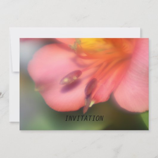 Prachtige roze Alstroemeria Flower INVITATION Kaart (Voorkant)