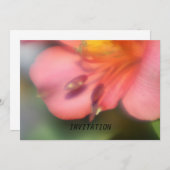 Prachtige roze Alstroemeria Flower INVITATION Kaart (Voorkant / Achterkant)