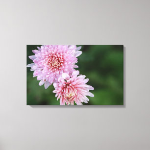Prachtige Roze Bloemen Opgespannen Canvasprint Canvas Afdruk