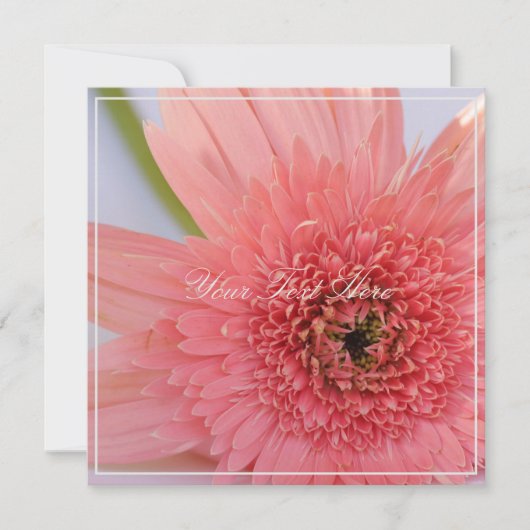 Prachtige roze chrysanthemum Jouw tekst platte Kaa (Voorkant)