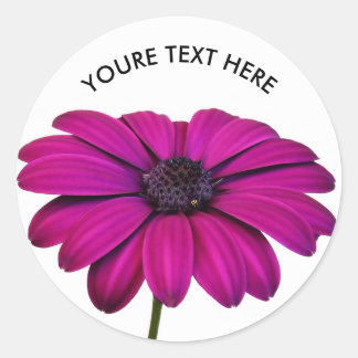 Prachtige roze Daisy Ronde Sticker