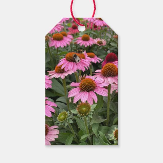 Prachtige roze Echinacea Flowers en Bee Cadeaulabel (Voorkant)