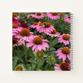 Prachtige roze Echinacea Flowers en Bee Editable Notitieboek (Achterkant)