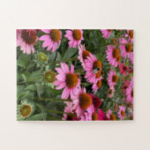 Prachtige roze Echinacea Flowers en Bee Legpuzzel (Horizontaal)
