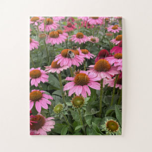 Prachtige roze Echinacea Flowers en Bee Legpuzzel