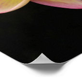 Prachtige roze en geel Poster-Plumeria Poster (Hoek)
