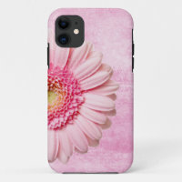 Prachtige Roze Gerbera Daisy 