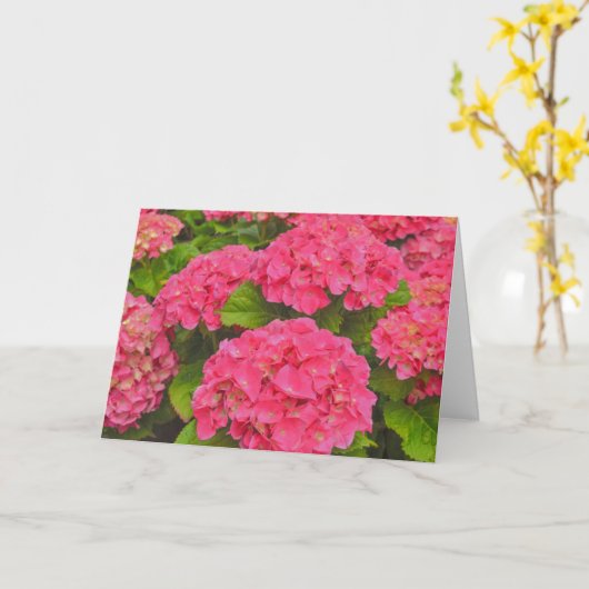 Prachtige roze Hydrangea Tuin Bloem Kunst Kaart (Gele Bloem)